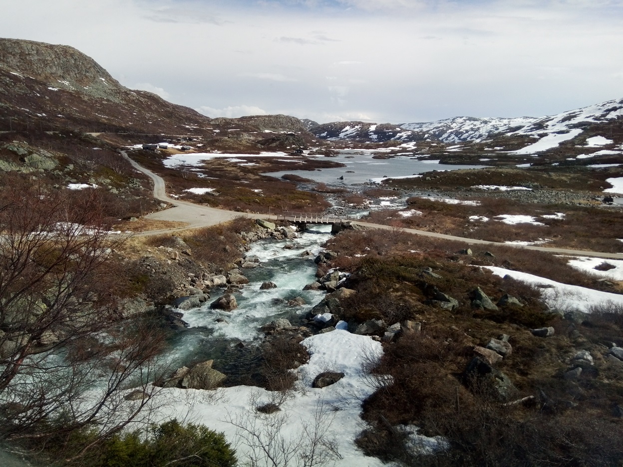 Between Voss and Myrdal