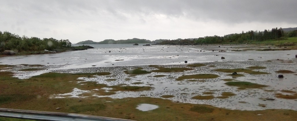 Scenery from bus in the rain between Lofoten and Narvik