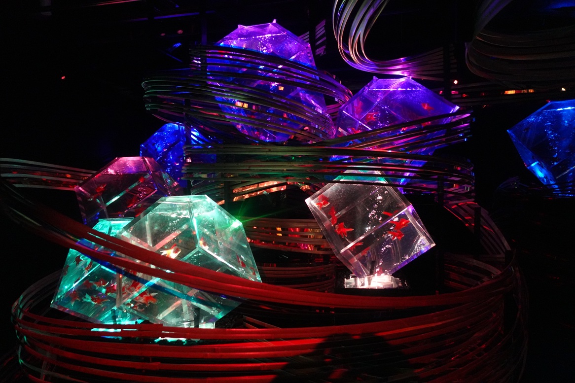 Art Aquarium