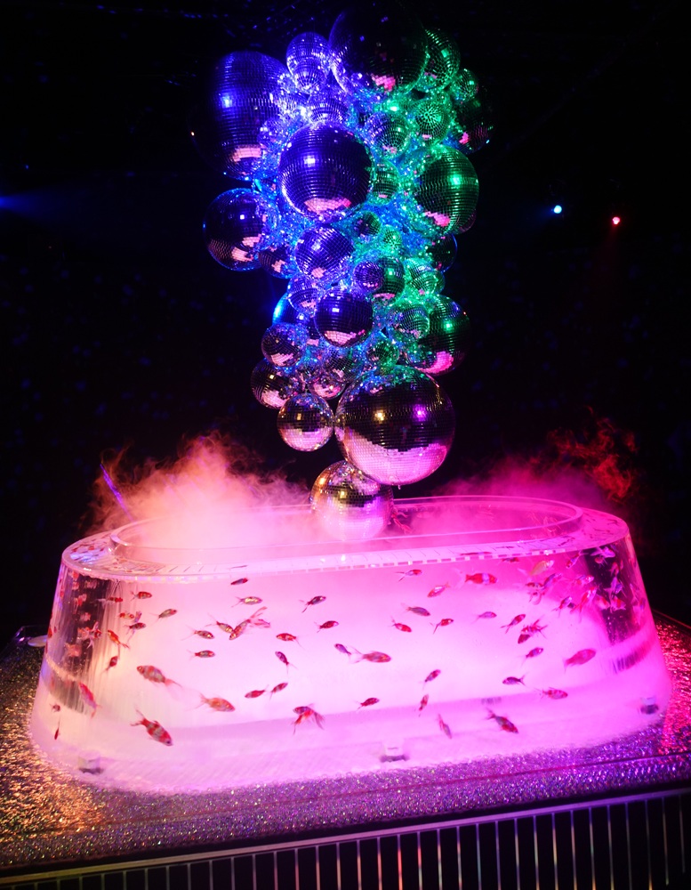 Art Aquarium