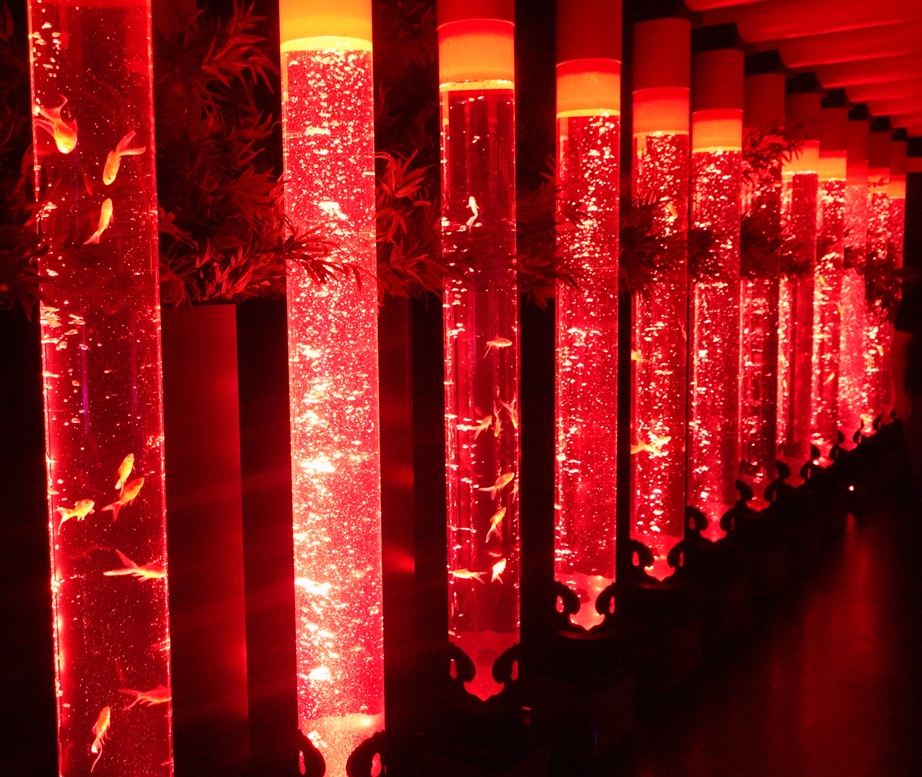 Art Aquarium