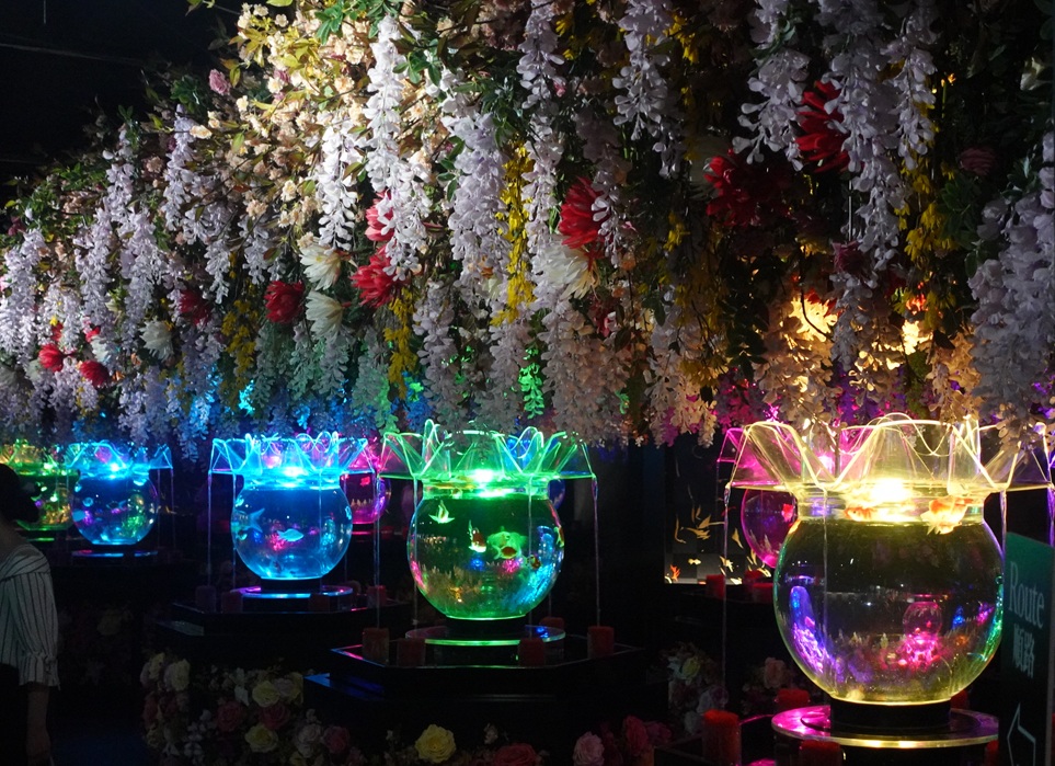 Art Aquarium