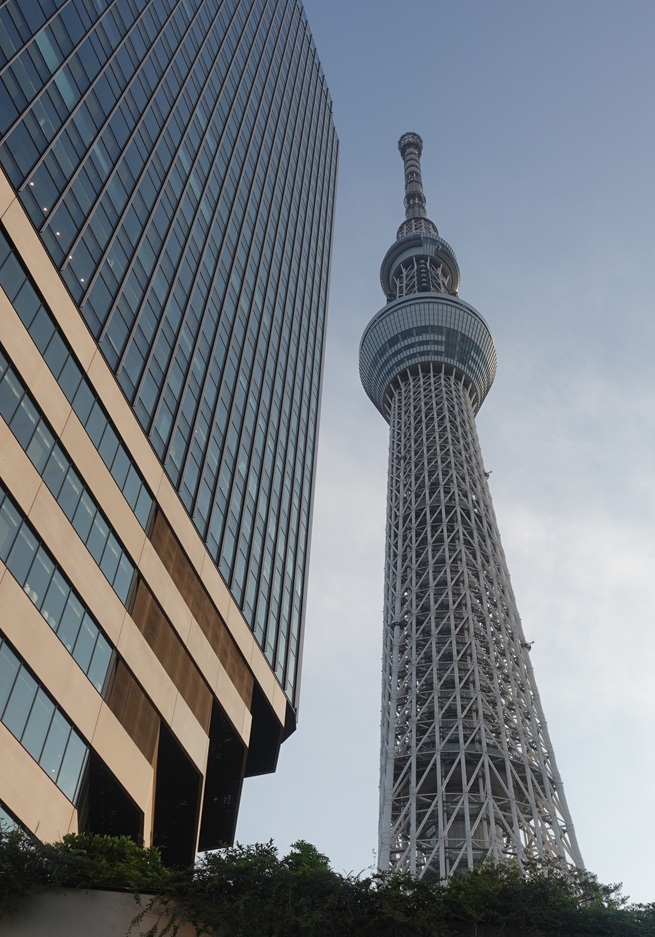 The SkyTree Tower