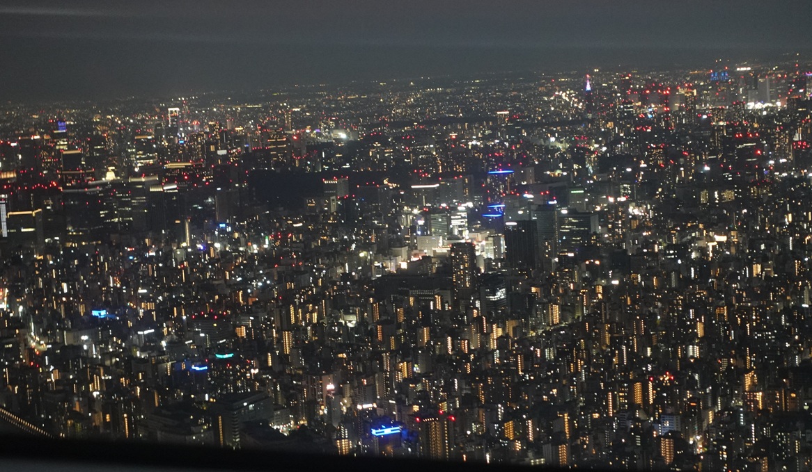 Tokyo after sunset