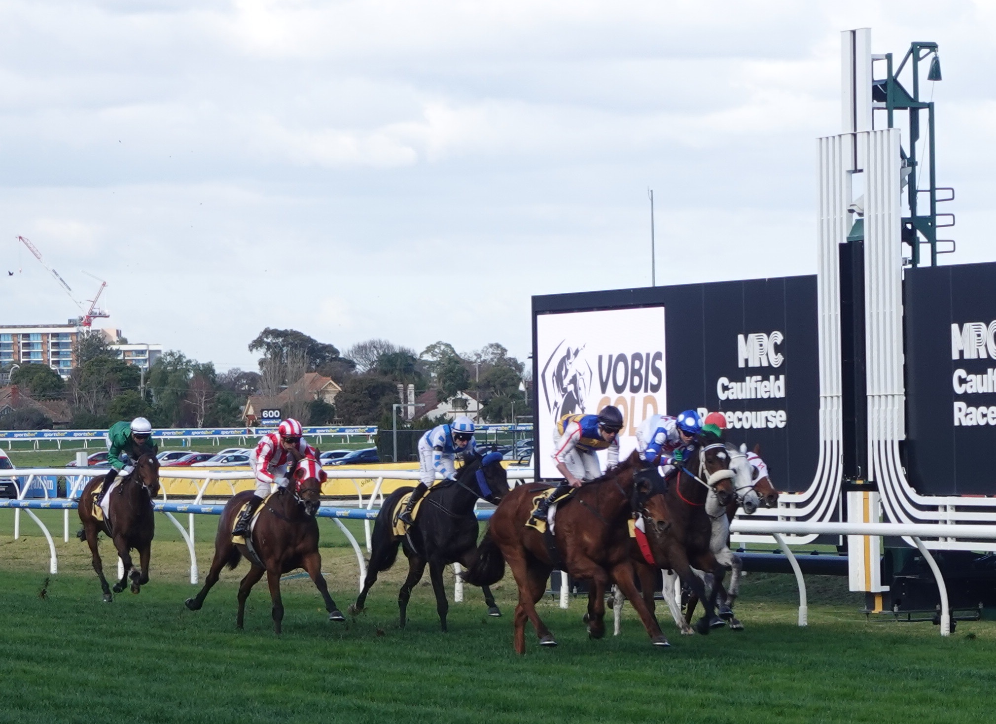 Horse-racing at Caulfield Racetrack