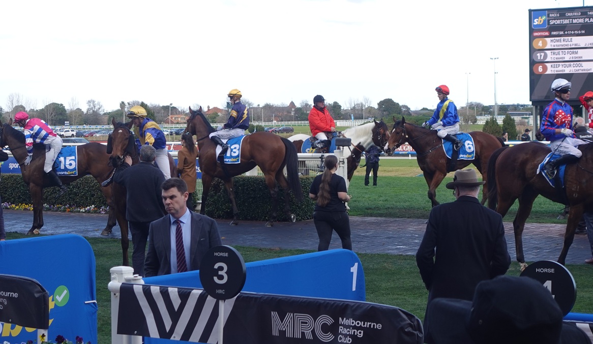 Horse-racing at Caulfield Racetrack