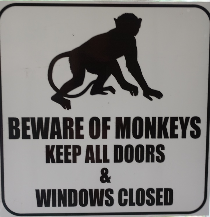 Beware monkeys