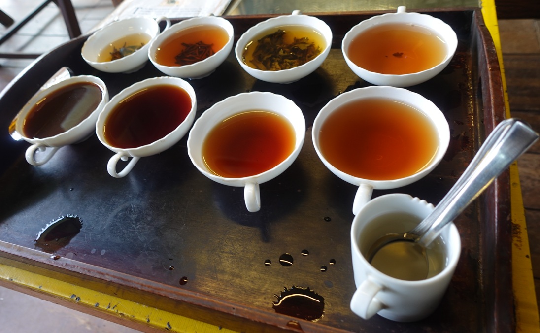 Tea tasting