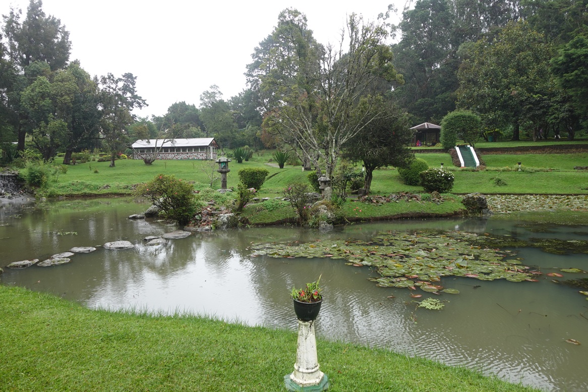 Victoria Gardens,