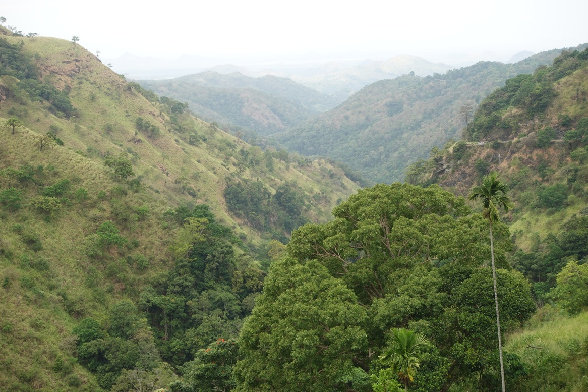 Mountain view