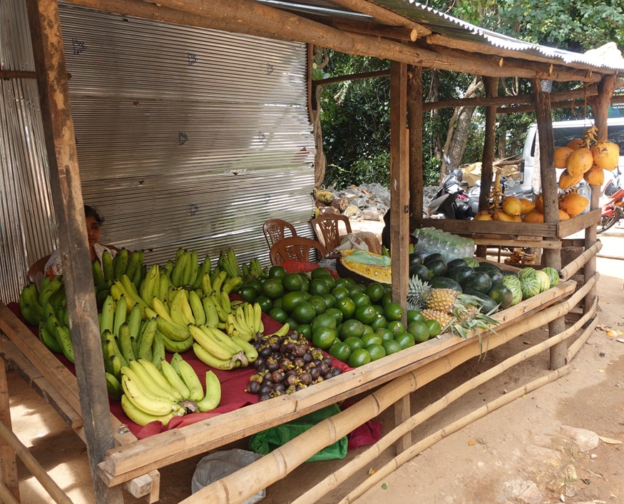 Roadside fruit stand