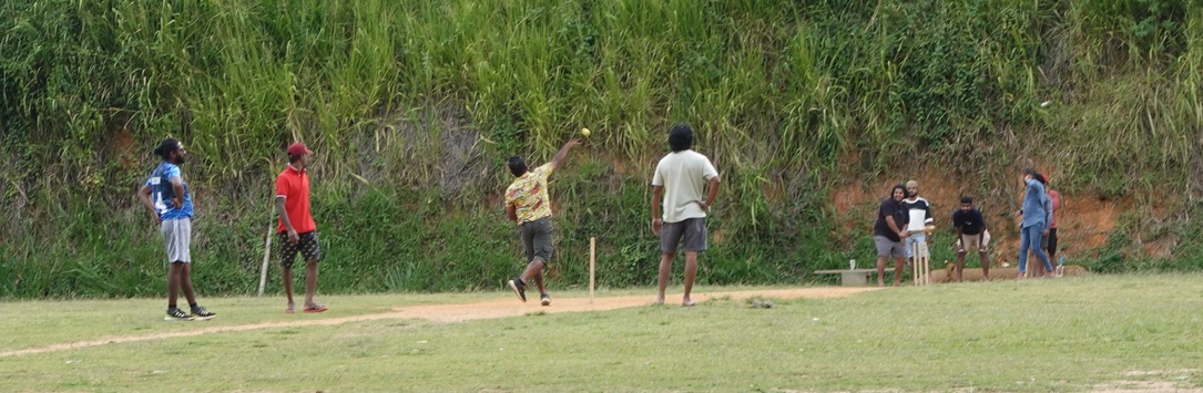 Cricket
