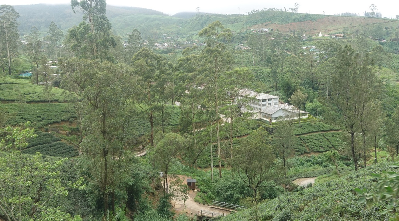 Scene from the train between Ella and Kandy, Central highlands