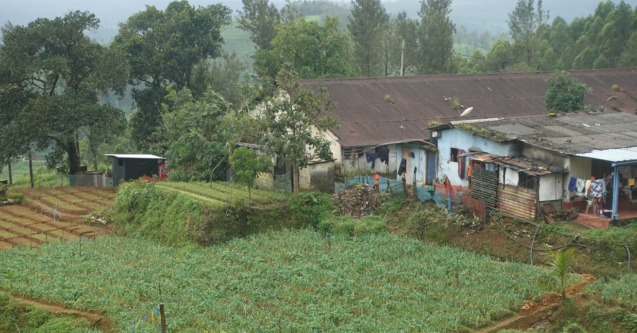 Scene from the train between Ella and Kandy, Central highlands